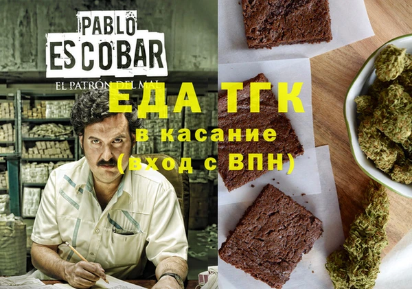 индика Краснотурьинск