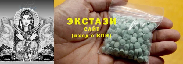 индика Краснотурьинск