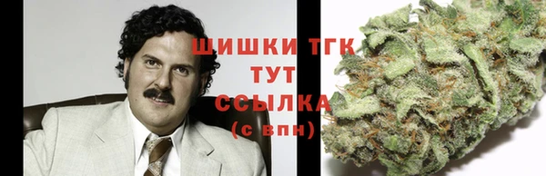 индика Краснотурьинск