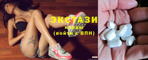 индика Краснотурьинск