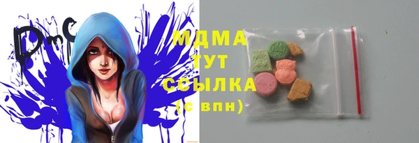 индика Краснотурьинск