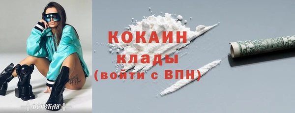индика Краснотурьинск