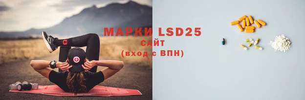 индика Краснотурьинск