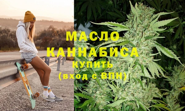 индика Краснотурьинск