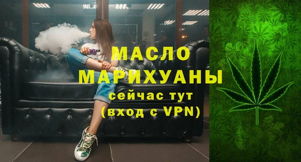 гидра Краснослободск