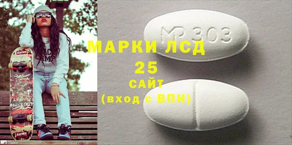 индика Краснотурьинск