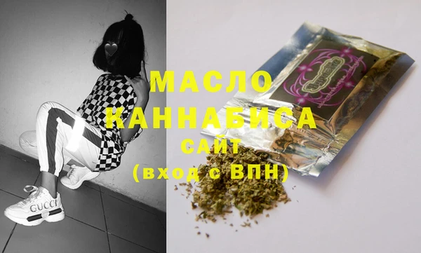 гидра Краснослободск