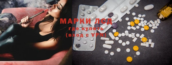 индика Краснотурьинск
